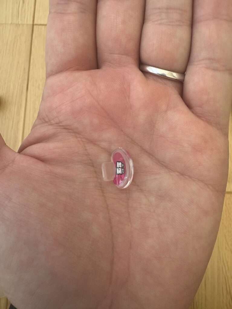 スーパークラッシュ人体模型の本体と臓器パーツ