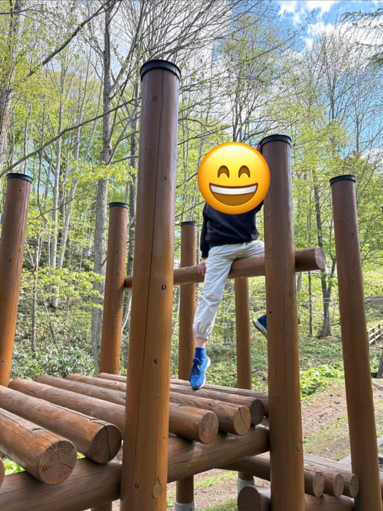 岩手こどもの森 屋外の木製アスレチック遊具