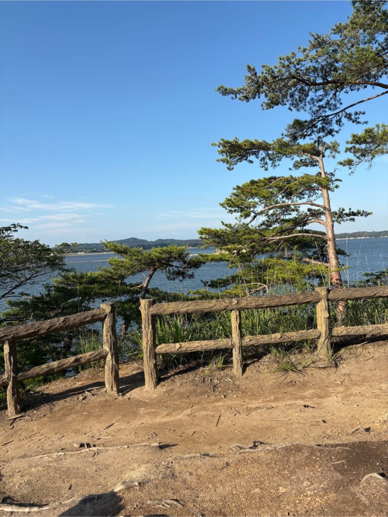 松島湾の景色の画像