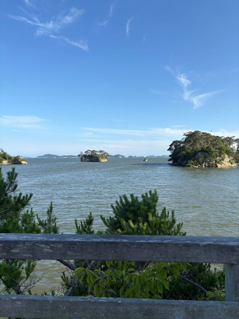 展望台から見た松島湾の画像