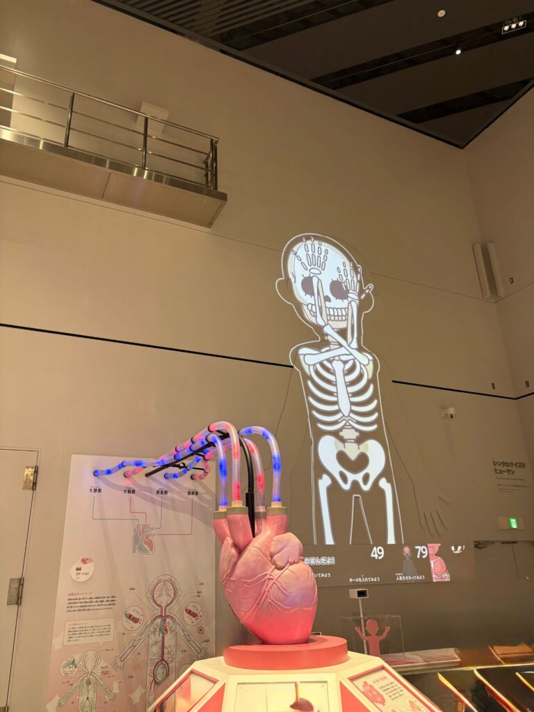 人体の構造を学べるプロジェクションマッピングの画像