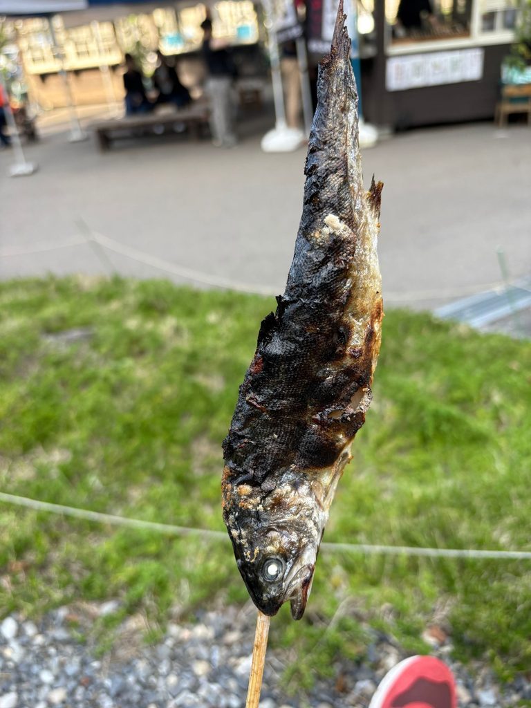 イワナの画像