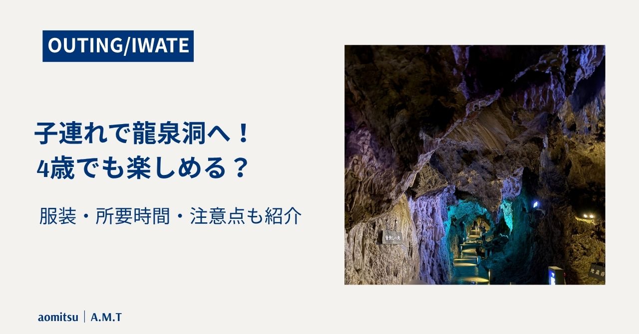龍泉洞体験記事のアイキャッチ画像